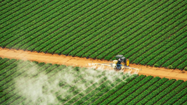 Best Affordable Exterminators  in Cheney, WA