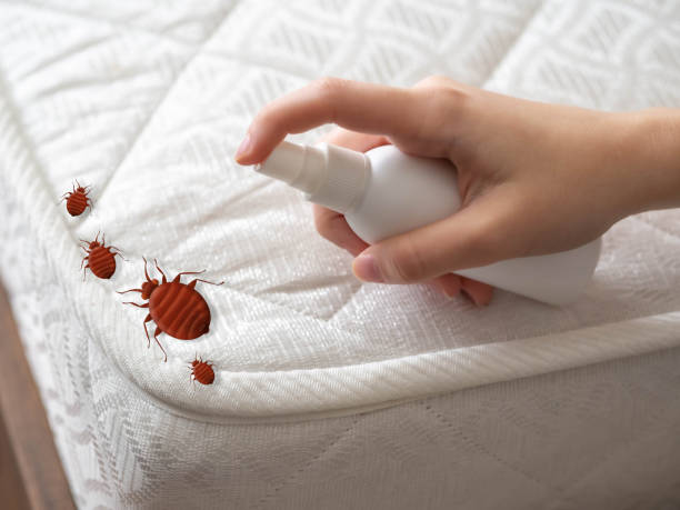 Best Pest Removal Services  in Cheney, WA